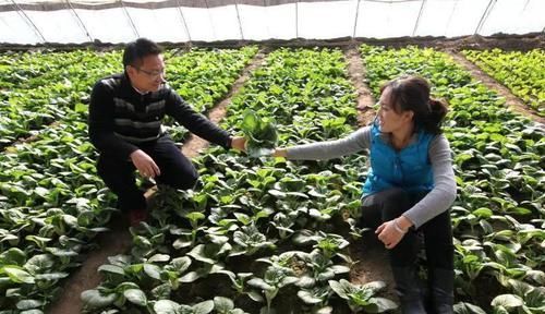 欢快的英文歌啦啦啦啦