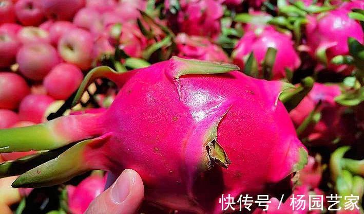 好吃|秋季干燥，记得多给家人吃它，润燥去湿又好吃，湿气全部跑光光