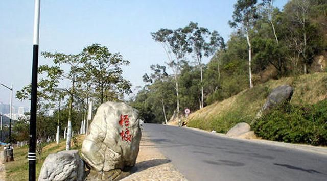 公路|水真的会往低处流？这两个“怪坡”就打破了自然定律，你见识过吗