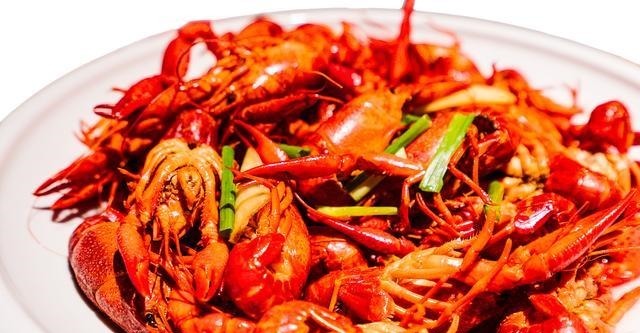 富人|竹苞松茂,百年沧桑此生看;谈古论今,光风霁月福泽长!