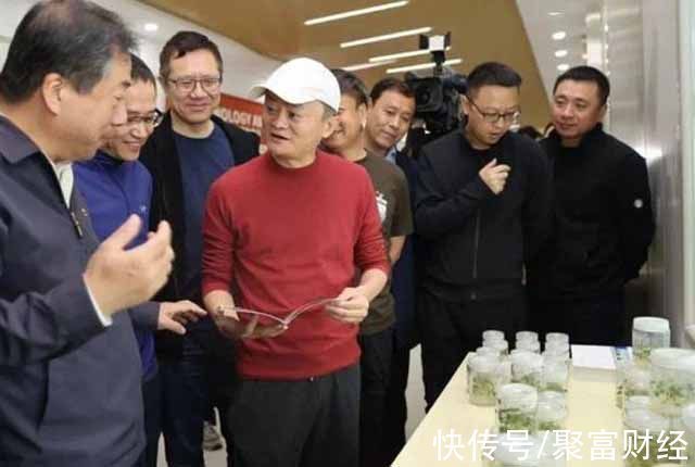 实体店|退休后也没闲下来，时隔许久马云悄悄露面，这次地点“不一般”？