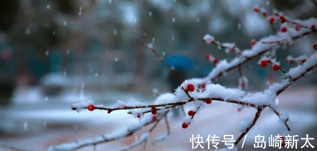 雪梅@古诗词里,冬景可爱