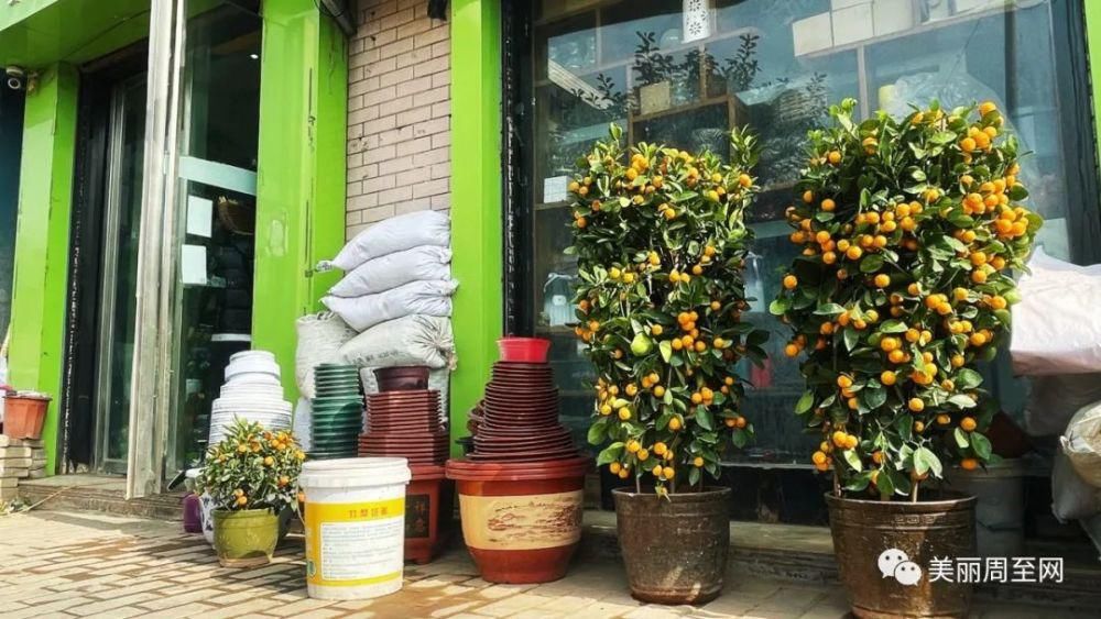 老城|周至县城有条街，叫面粉厂巷子...