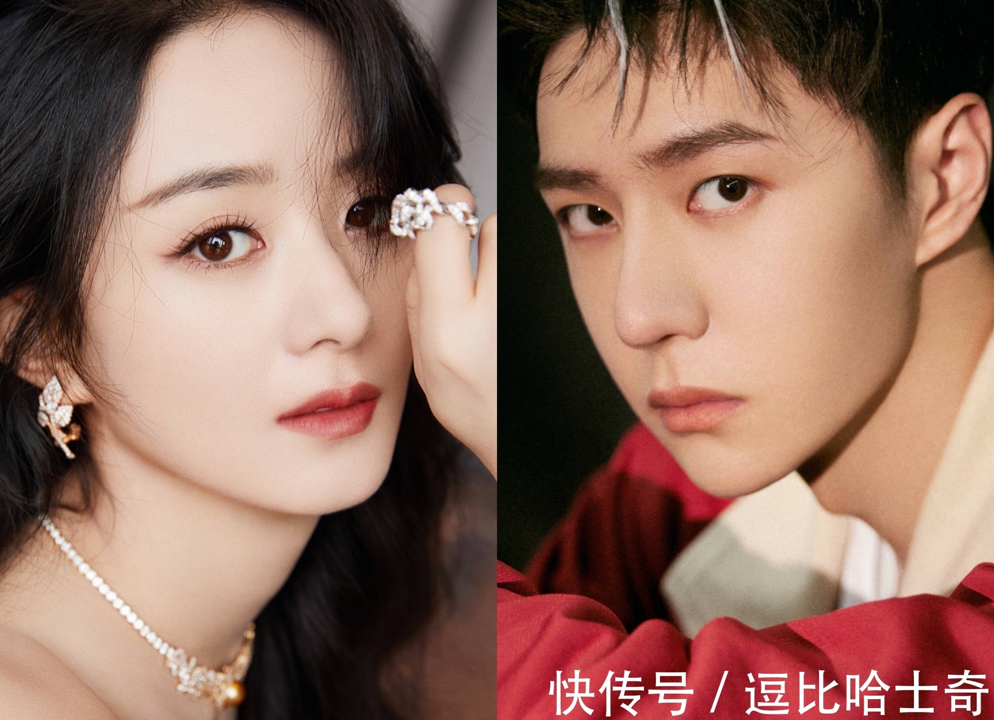 杨丽娟|当红俩明星粉丝口水大战上了热搜，央媒点评该整治粉丝经济了