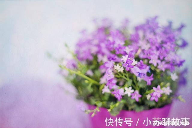 卡耐基!做人,不惹事,不怕事,才是真的有本事