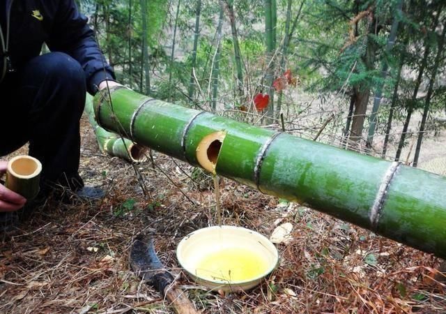 平常|在农村，这种酒平常很少见，只在4月份才能制作，你喝过吗？