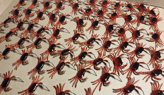 螃蟹|日本搞怪螃蟹耳环!逼真度让人看到也觉得「痛」