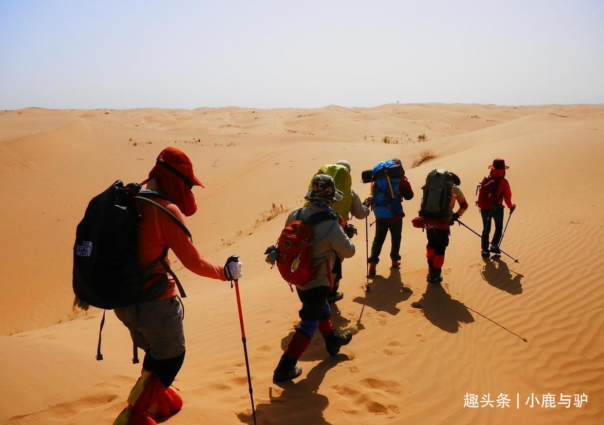 旅游|妻子迷上“露营”，称是去呼吸新鲜空气，老公却发现带了安全用品