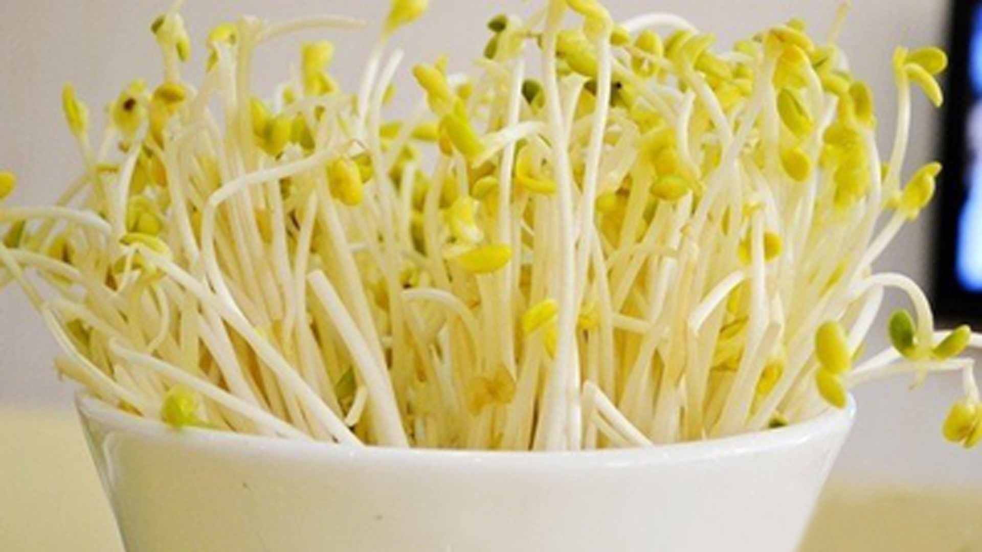 想吃豆芽不用买,教你自己发豆芽,特别简单