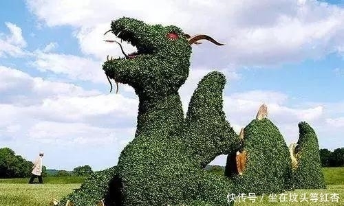塑造|植物塑造出来的造型简直美炸了,你见过这样的植物吗?