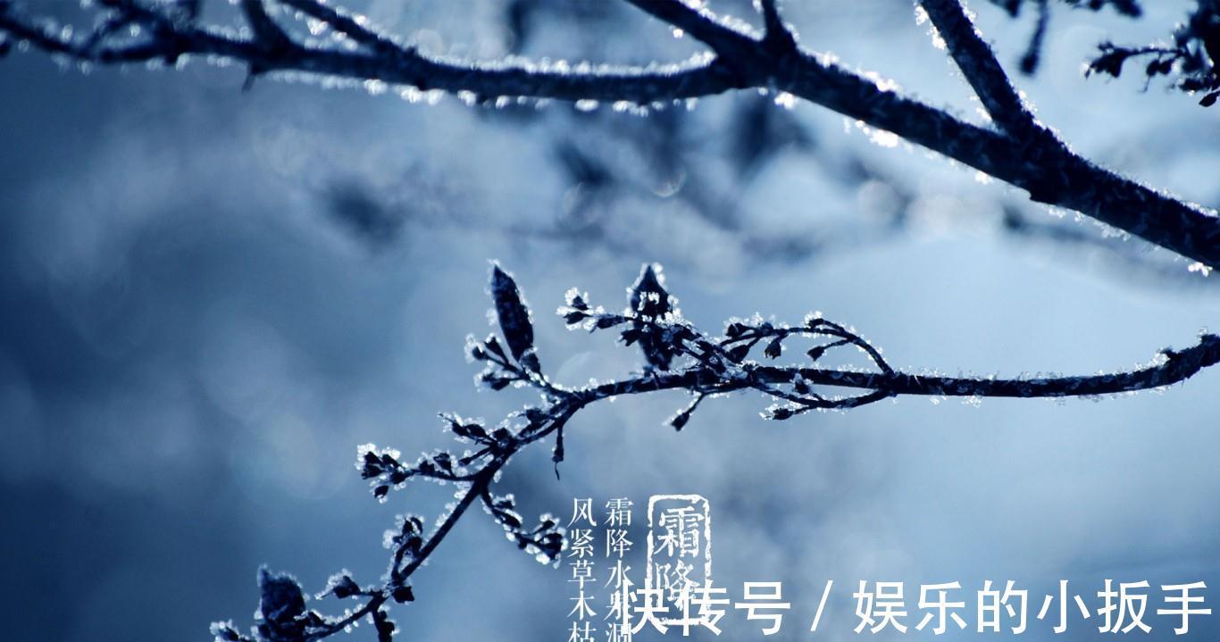 食物|“补冬不如补霜降”，霜降过后这5种食物要多吃，身体暖和又强健