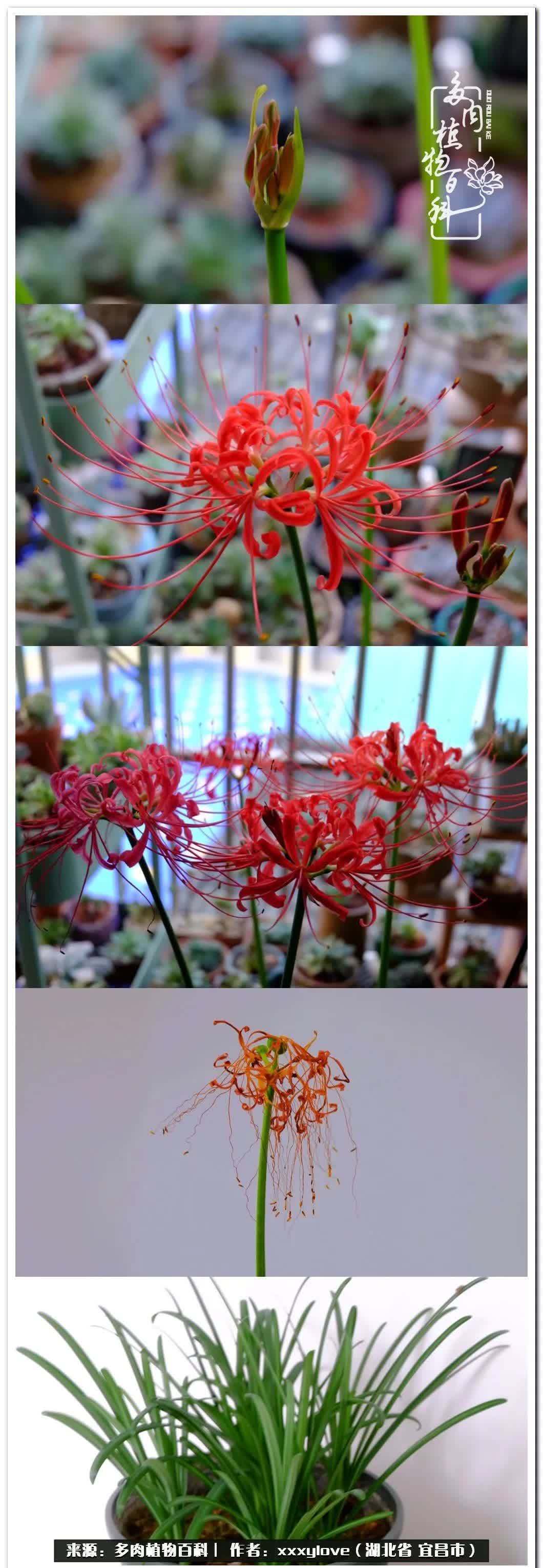 时光匆匆,一闪而逝,这世间万物的美,都值得被记录!