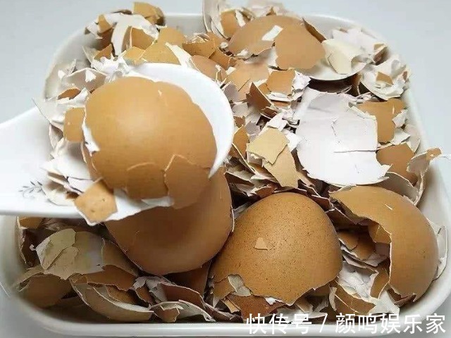 治好|被你傻乎乎丢掉的鸡蛋壳，轻松治好4种病，帮你省下一大笔买药钱