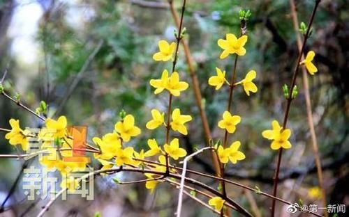 陕西金丝峡景区季送福利 3月门票买一赠一