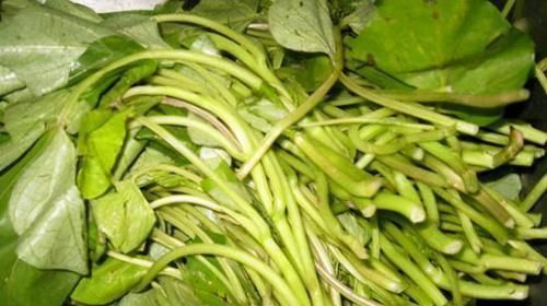 人到中年想养生,3种食物轮着吃,排毒养颜、美白肌肤、抗衰老