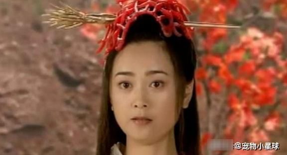 通天教主|封神之战结束后，三清和女娲都输了，真正的赢家只有三个