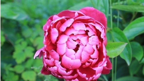 名言|老祖宗传下的3句名言,四十岁前读懂,少奋斗二十年