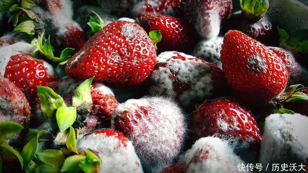 酒精|哺乳期什么不能吃医生记住5种食物不能碰