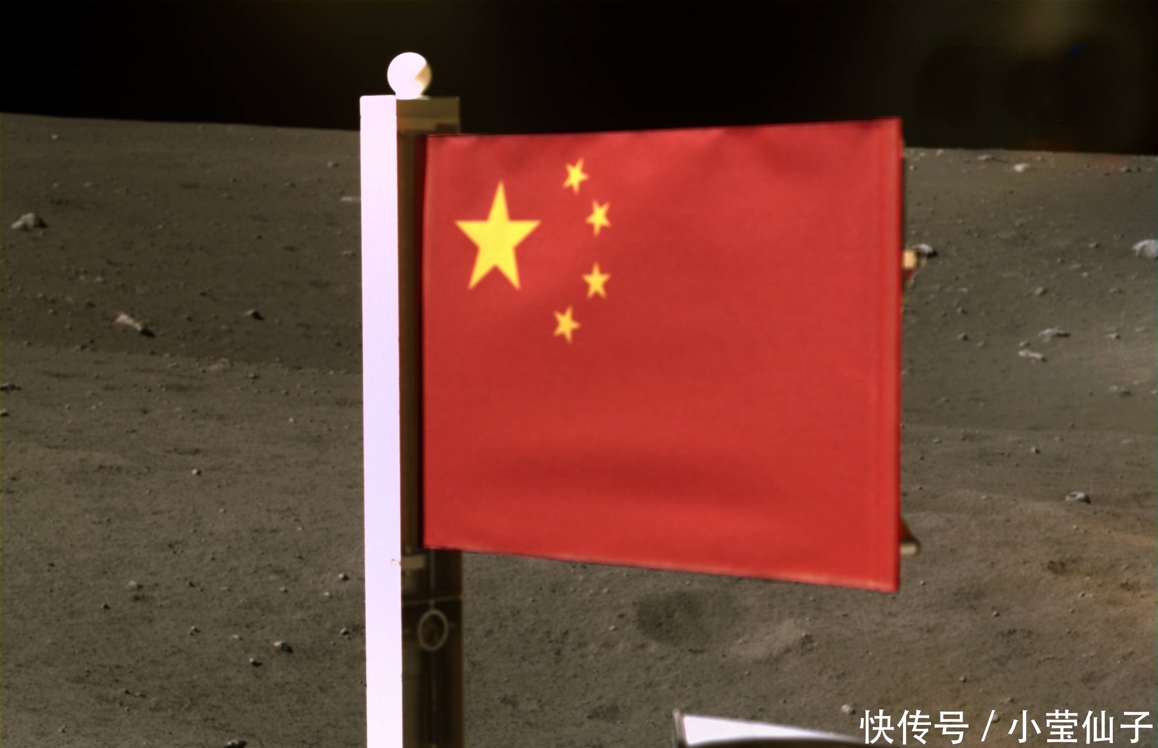 小莹网官网引领行业风向标