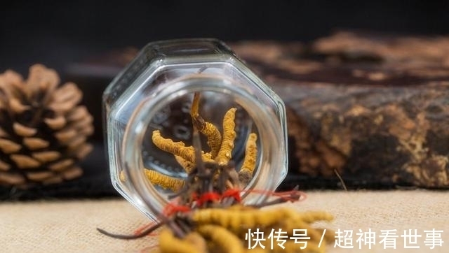 幼虫|被称为“神药”的冬虫夏草,如何走下了神坛?专家给出最好的解释