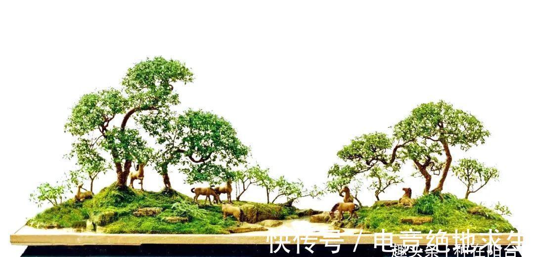 树石盆景:在堤岸坡脚处留出一条透水的缝隙,可享浇水无忧!