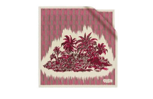 迪奥匠心呈献全新PALMS印花系列 彰显经典优雅