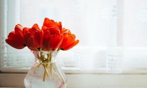 伤疤@与人相处,牢记这三点的处世之道,人生路越走越宽。