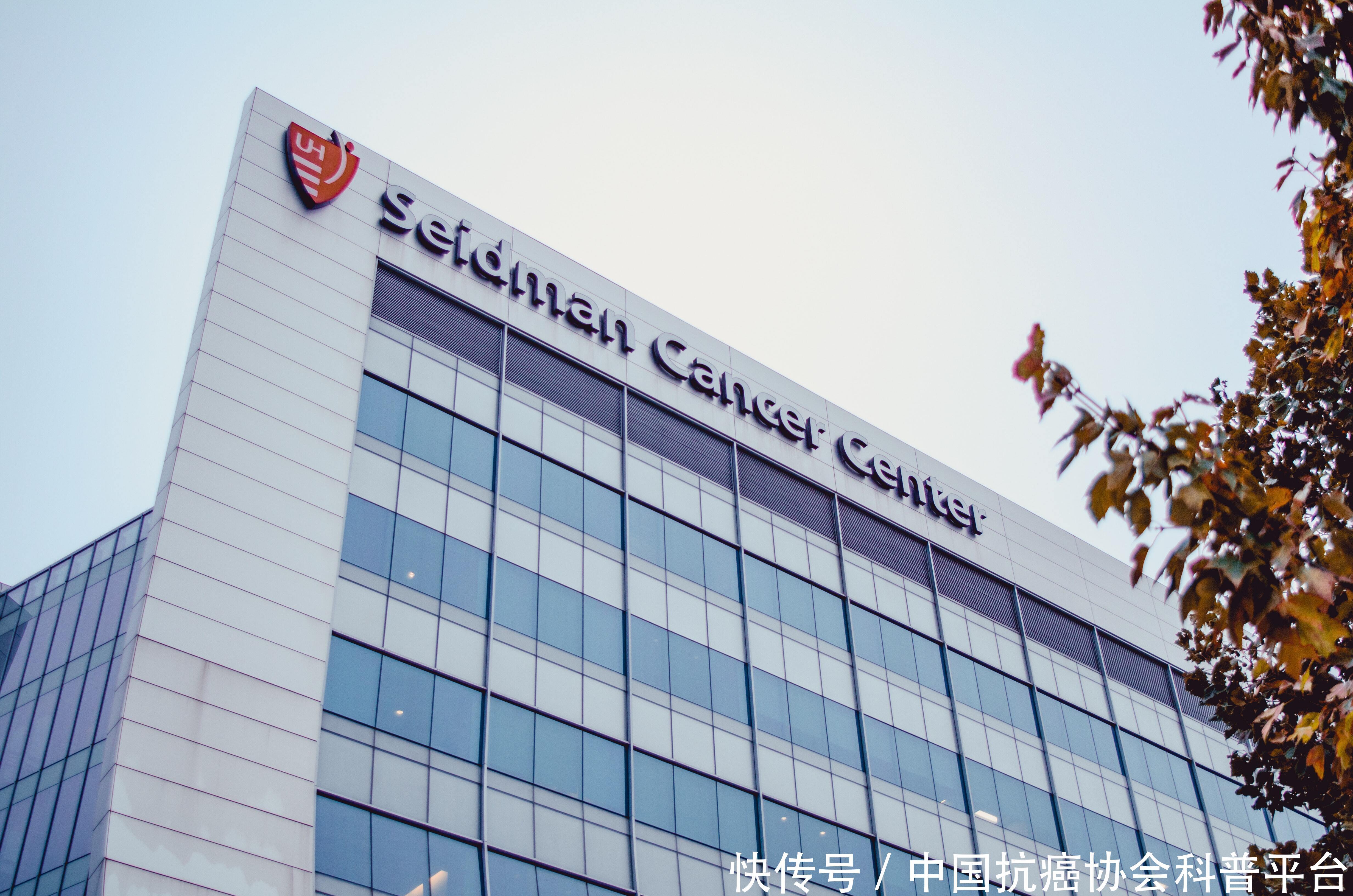 「癌症知多少」肺癌治疗九大要点,看完这篇,心中有数