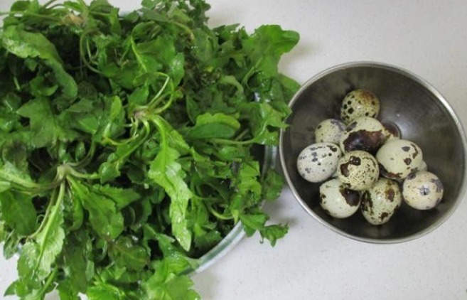 胡萝卜素|以下儿童的补脑护眼菜，建议不要错过，马上了解，比牛奶营养还好