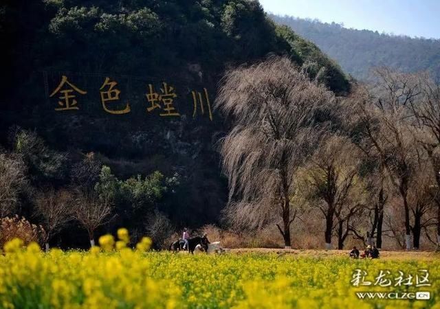 春天已“到货”！安宁万亩油菜花开啦|周末去哪儿 | 老年