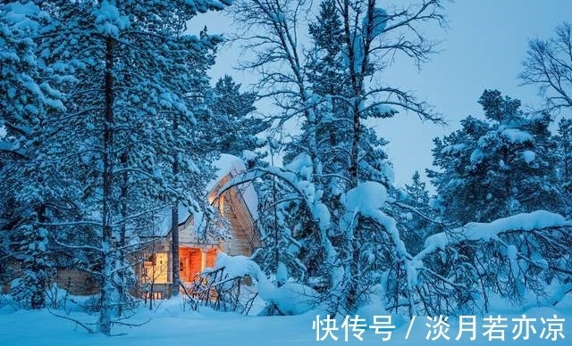 素冬#散文,十二月,你的美极致婉约