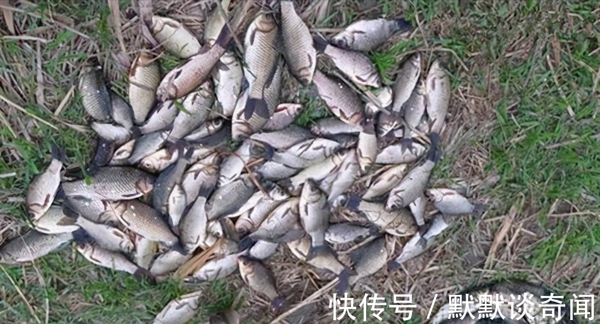 天越冷鲫鱼咬钩越积极?这可不一定,这两种情况最好不要下竿