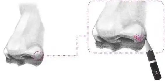 鼻孔@零基础素描教程:分步骤讲解34侧面鼻子画法,简单易学,快临摹