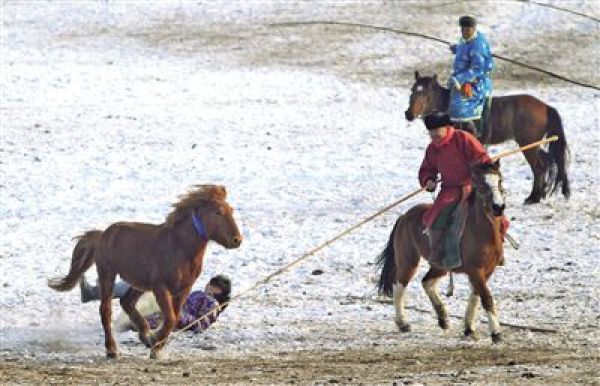  牧民|锡林浩特：牧民冒严寒进行传统马文化活动