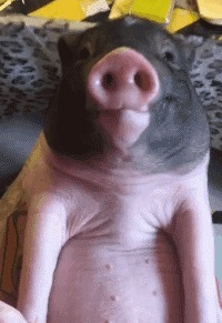 |搞笑GIF:这是什么地方?我想去这地方上班!美女真多!