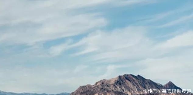 做人的最高境界:装傻