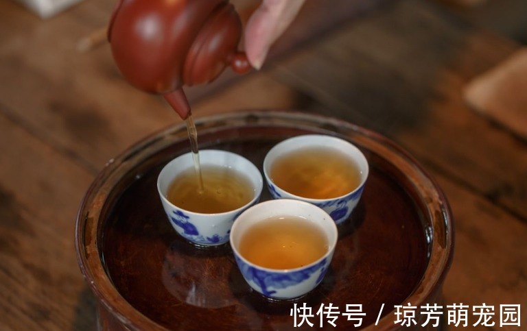 茶性|立秋后還在亂喝茶？秋季養生喝什么茶好？為何秋天要多喝茶？