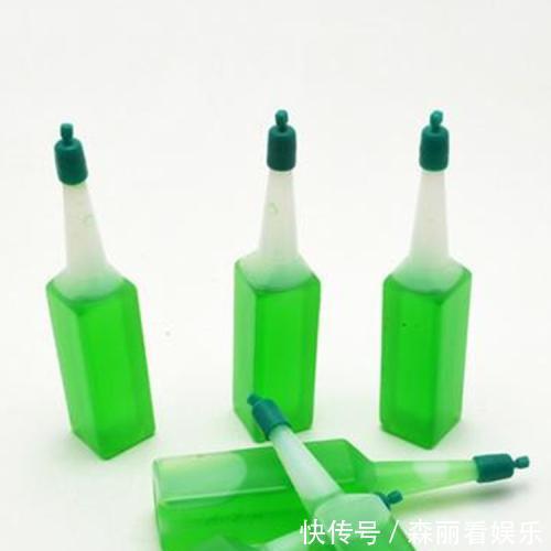 富贵竹要怎么养能晒太阳吗掌握方法,将富贵竹养得根壮叶绿