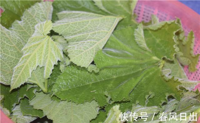 农村一种越暴力洗越美味的蔬菜,味道清香而独特,一般人没吃过