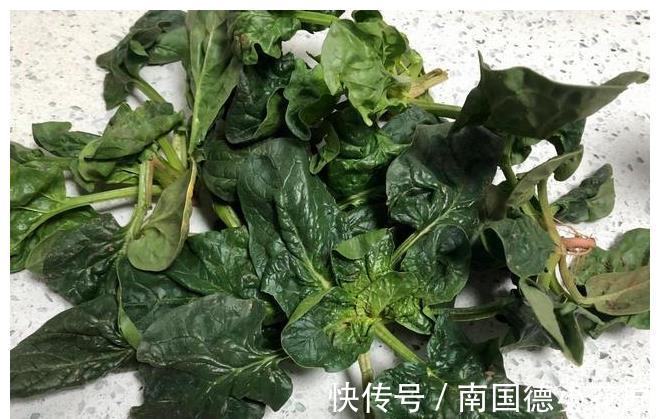 菠菜|春天吃荠菜、韭菜不如吃它,每斤不到1元钱,被称为“菜中之王”