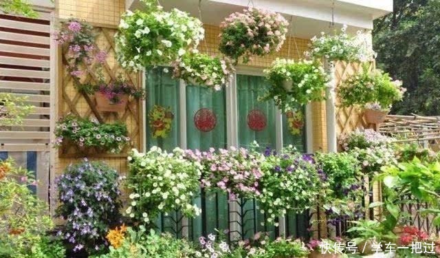 王奶奶用塑料瓶子,养出“花园、菜园”,好羡慕,再不扔了!