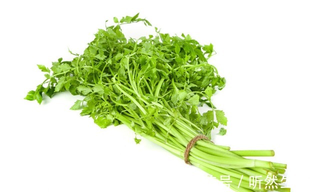 鱼腥草|66种野菜大图片，带你见识不同的野菜和吃法，你想要的野菜这里有