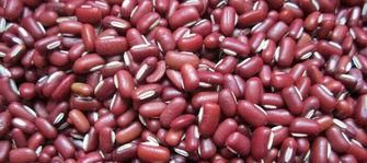 这5种食物是痔疮的“大克星”,隔三差五吃一点,痔疮偷偷溜走