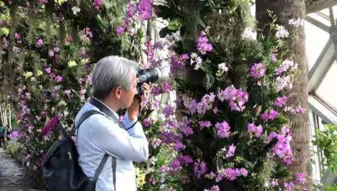 陆谷孙弟子谈峥：一生追逐学问，便是人间花事