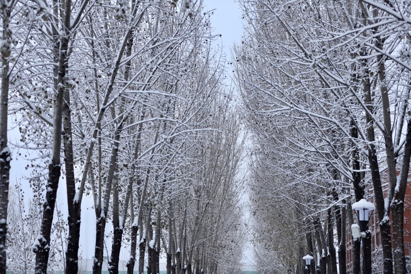 冬雪|山传初雪，许你一场深情共白头