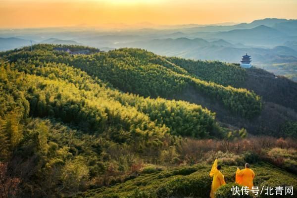 “中原竹海”西九华山：冬季的世外桃源