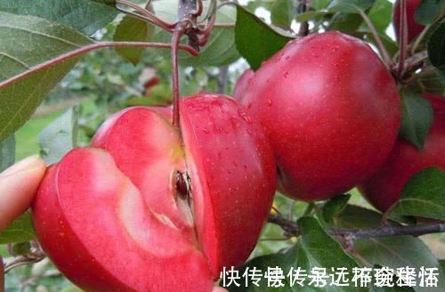 清热|聪明人都爱吃的3种食物,排毒养颜,清热去燥,保护视力,更健康