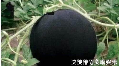 游离氨基酸|人到中年想长寿,要学会吃3种食物,排毒养颜,有益健康!