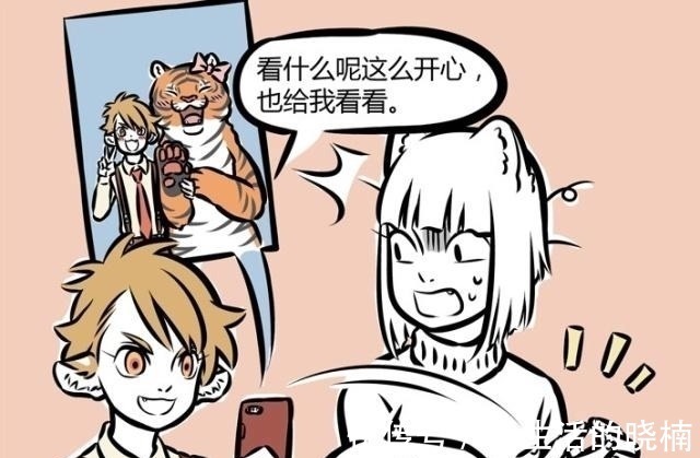 老虎|非人哉:老虎,再霸气也只是猫科动物,它也会有“失恋”的一天!