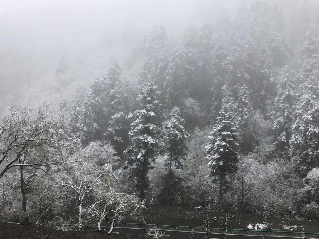 地方|汶川下雪了！这些地方，你最想去哪个？